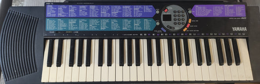 Tastiera Elettronica Yamaha PSR-73 - Vintage 1996 - 49 Tasti AWM Digital Keyboard
